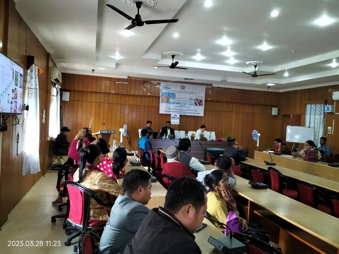 Nluja Events Image in Gallery