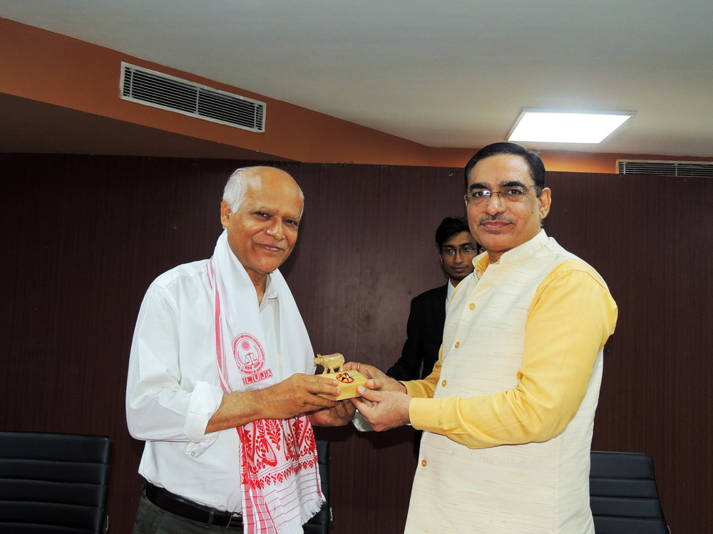 Nluja Events Image in Gallery