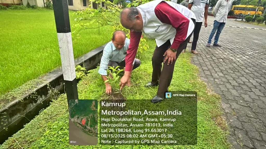 Nluja Events Image in Gallery